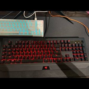 BlackWidow Chroma V2 (green switches)